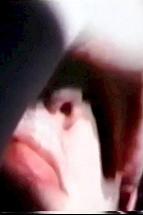 La vérité nue