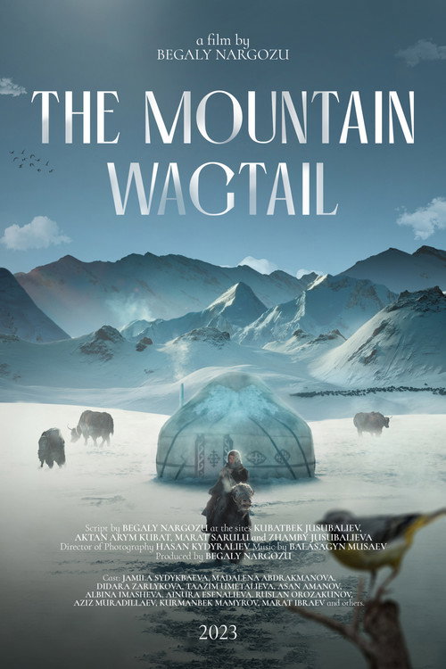 The Mountain Wagtail