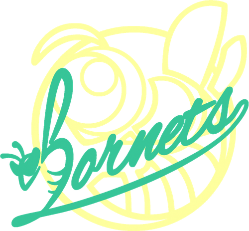 HORNETS