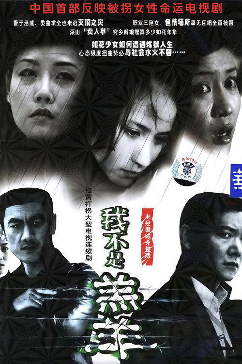 又见花儿开