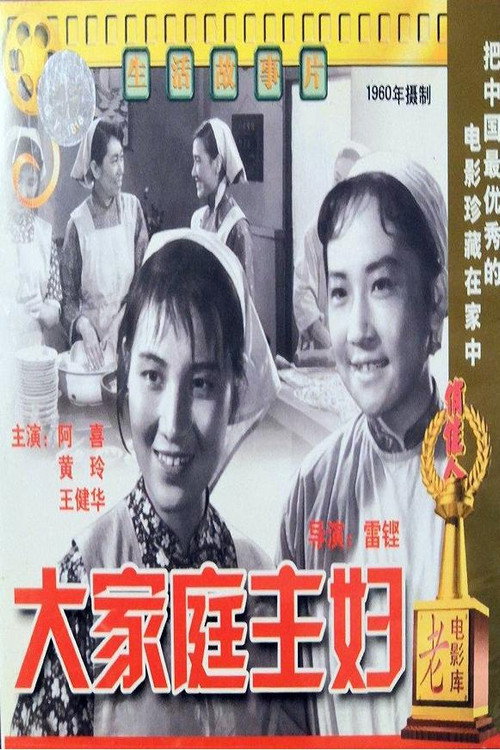 大家庭主妇