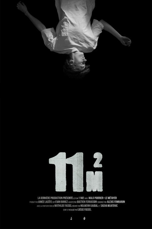 11m2