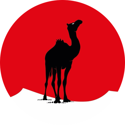 Black Camel Pictures