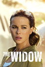 Miniseries