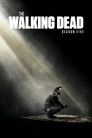 Season 5