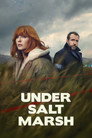 Miniseries