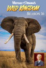 Season 16