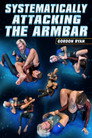 Systematically Attacking The Arm Bar