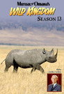 Season 13