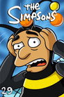 Season 29
