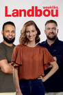 Season 26