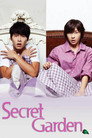 Limited Series