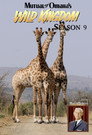 Season 9