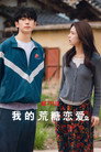 Limited Series