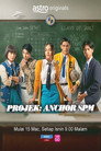 Miniseries