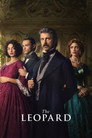 Limited Series