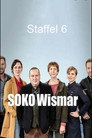 Season 6