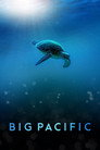 Big Pacific