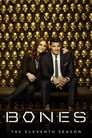 Season 11
