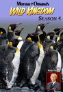 Season 4