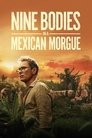 Miniseries