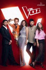 Season 12