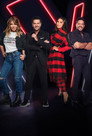 Season 5