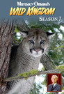 Season 7