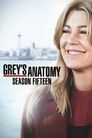 Season 15