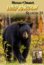 Season 24