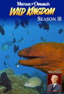 Season 10