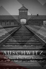 Miniseries
