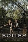 Season 12 - The Final Chapter