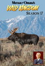 Season 17