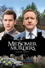 Series 20