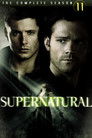 Season 11