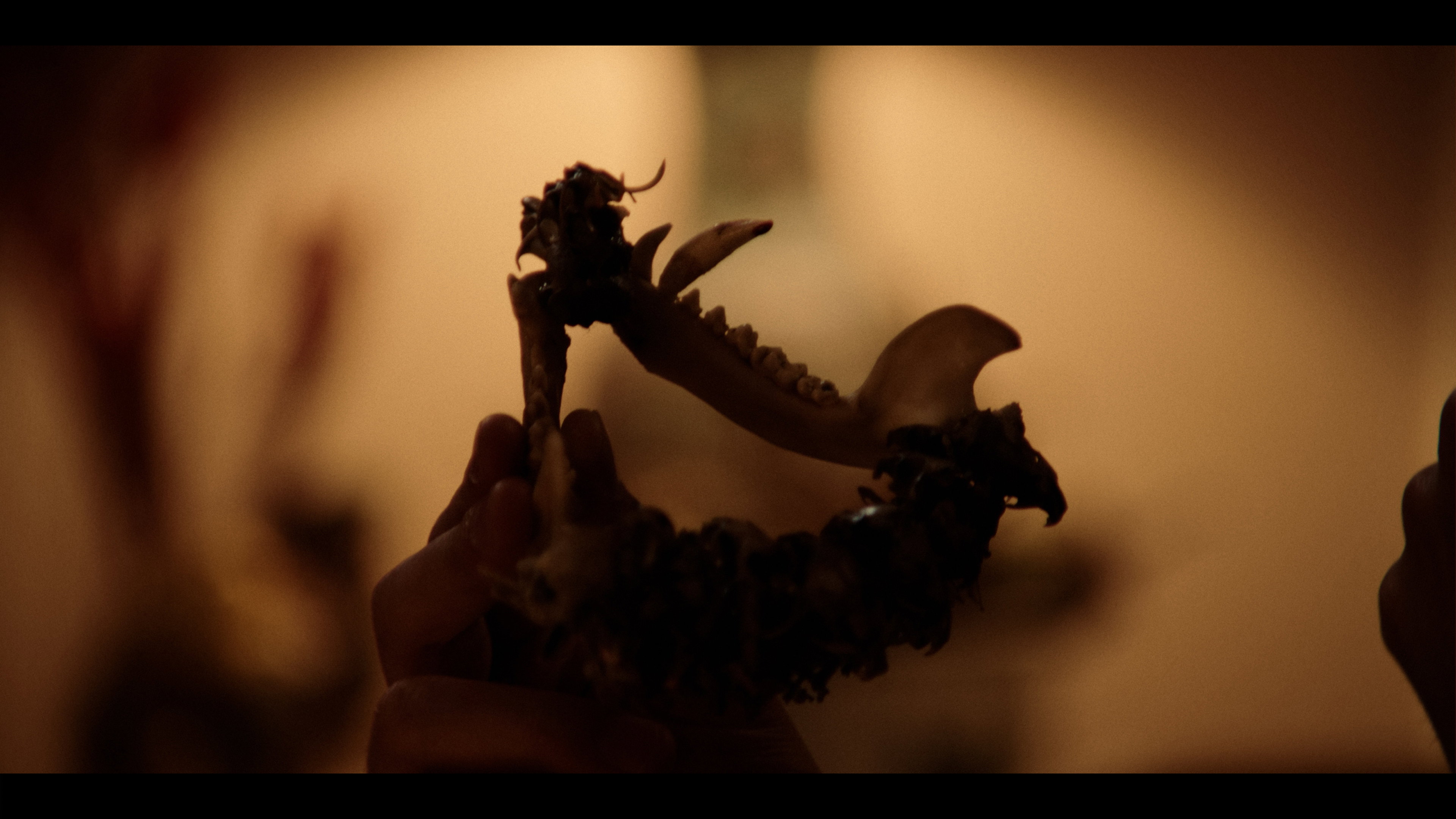 The Witchening