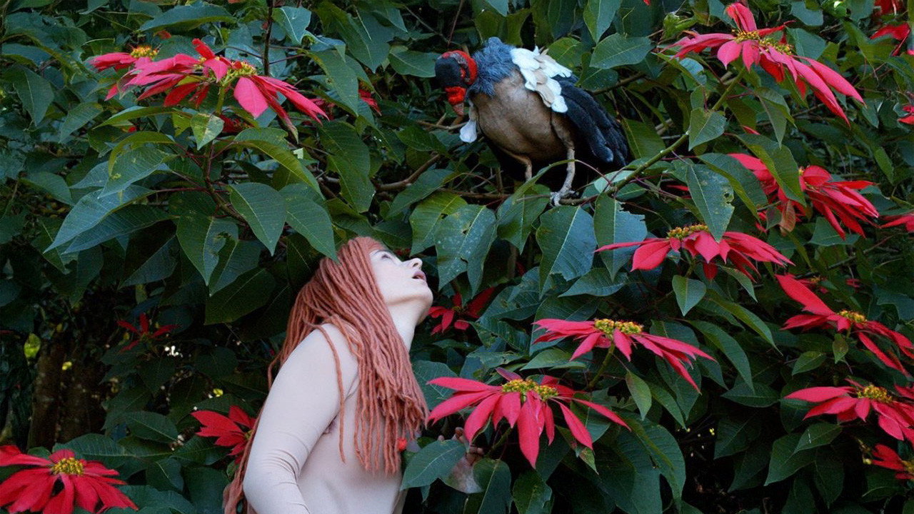 The Diaries of Adam and Eve