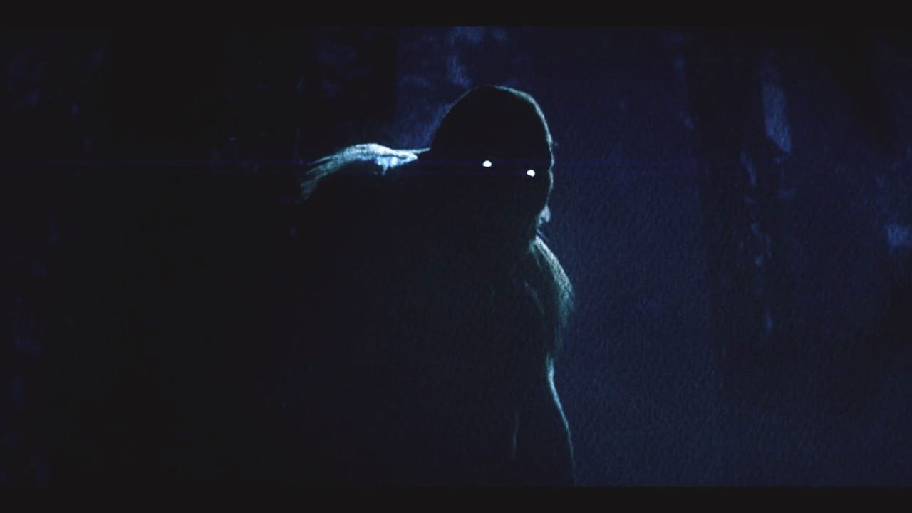 On the Trail of Bigfoot: Land of the Missing