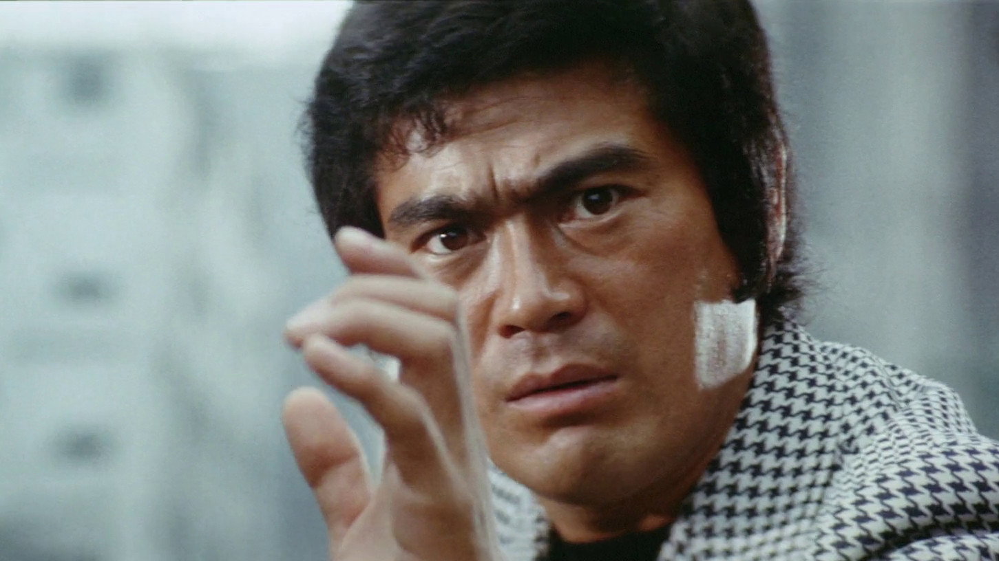 Bodyguard Kiba 2