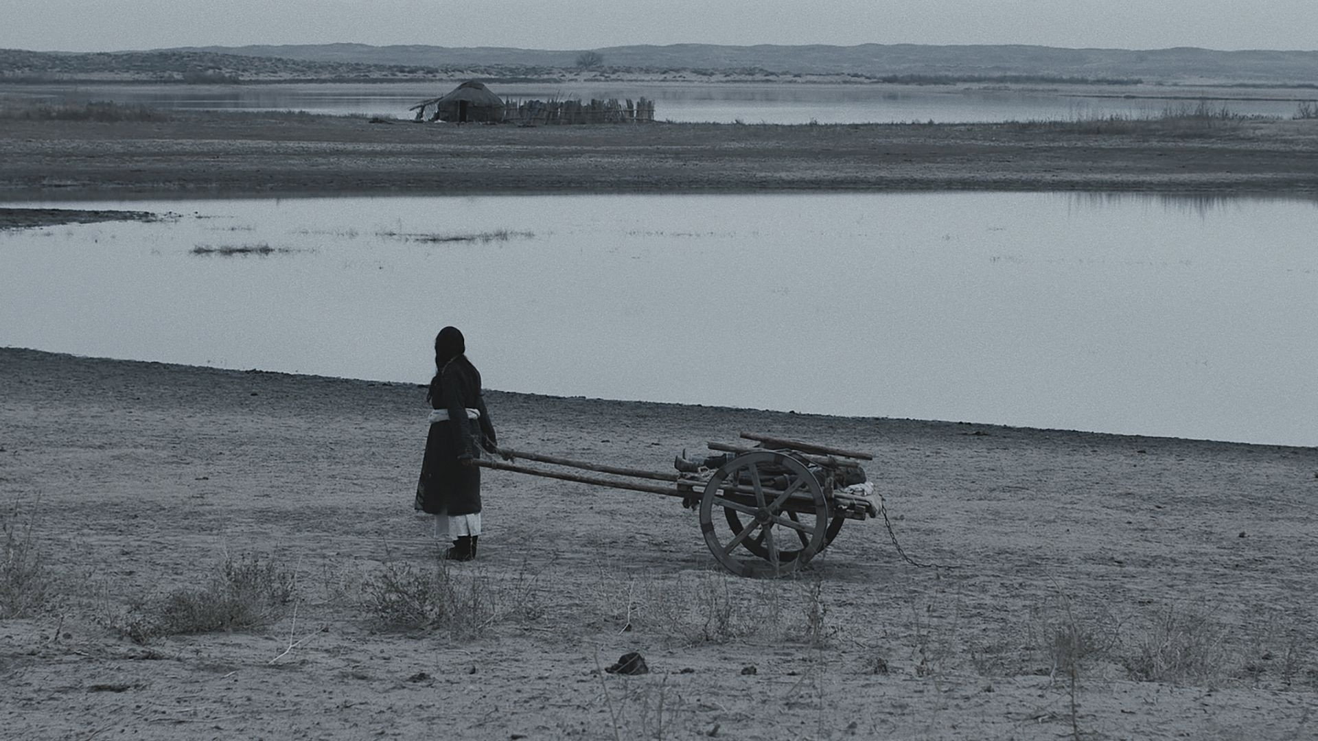 The Land Where Winds Stood Still