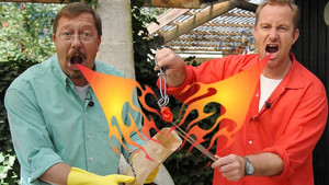 Den slanke linje