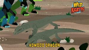 Komodo Dragon
