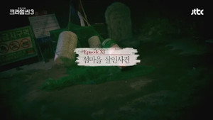 The Island Village Murder Case