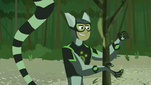 Lemur Stink Fight