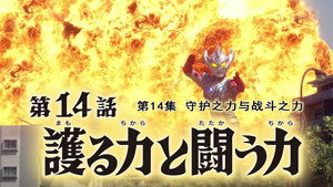 The Power to Protect and the Power to Fight