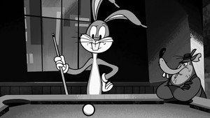 The Color of Bunny