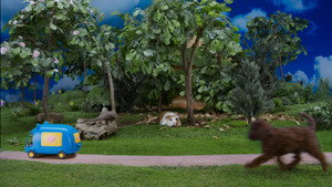 Follow That Car