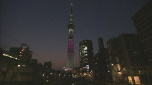 One Tower, Many Lives