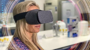 The Virtual World